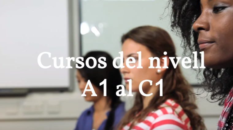 Cursos de català del nivell A1 al C1