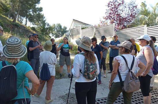 Alumnes preguntant en una fruiteria